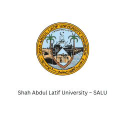 Shah Abdul Latif University тАУ SALU BeeHive Consultants Pvt Ltd Entrepreneurship Startups